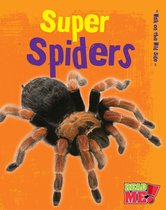 Walk on the Wild Side - Super Spiders