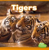 Mammals In the Wild - Tigers