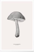 JUNIQE - Poster Bolete Mushroom -40x60 /Grijs & Ivoor