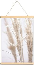 JUNIQE - Posterhanger Pampas Reed 01 -40x60 /Ivoor & Wit