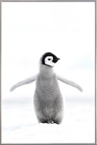 JUNIQE - Poster met kunststof lijst Lone Penguin -40x60 /Grijs & Wit