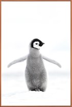 JUNIQE - Poster met kunststof lijst Lone Penguin -20x30 /Grijs & Wit