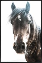 JUNIQE - Poster met kunststof lijst Horse -13x18 /Bruin & Ivoor