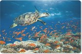 Muismat Schildpad - Koraalrif met schildpad muismat rubber - 27x18 cm - Muismat met foto