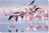 Muismat - Mousepad - Roze flamingo's op het water - 27x18 cm