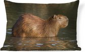 Sierkussens - Kussen - Een Capibara staat in het water - 60x40 cm - Kussen van katoen