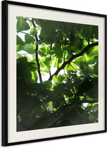 Poster - Under Cover of Leaves-30x30