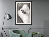 Poster - Azure Eye-30x45