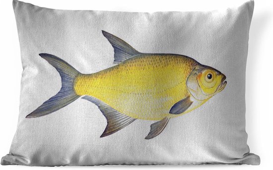 Sierkussens - Kussen - Gele brasem vis op een witte achtergrond - 60x40 cm - Kussen van katoen