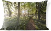Buitenkussens - Tuin - Een pad door een bosrijke omgeving - 60x40 cm