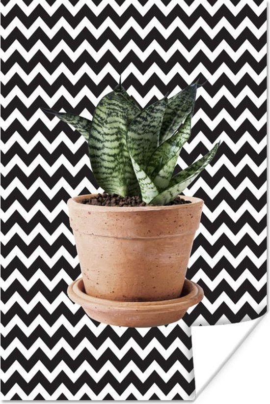 Plante aux feuilles rayées pour un fond en zigzag 120x180 cm XXL / Groot format!