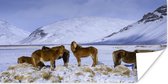 Poster Besneeuwde bergen met IJslander paarden - 120x60 cm