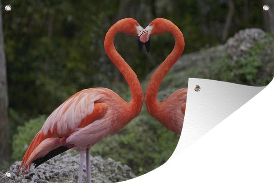 Verliefde flamingos vormen hart Tuinposter 60x40 cm - Foto op Tuinposter (tuin decoratie)