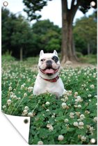 Tuindecoratie Hond - Bulldog - Bloemen - 40x60 cm - Tuinposter - Tuindoek - Buitenposter