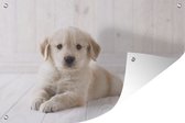 Tuindecoratie Witte Golden Retriever puppy - 60x40 cm - Tuinposter - Tuindoek - Buitenposter