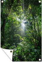 Muurdecoratie Zon breekt door de bomen van het oerwoud in het Nationaal park Corcovado - 120x180 cm - Tuinposter - Tuindoek - Buitenposter