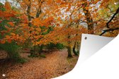 Tuinposters buiten De herfstbossen in het Nationaal park Dartmoor in Engeland - 90x60 cm - Tuindoek - Buitenposter