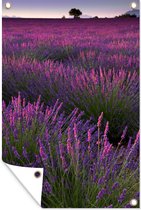 Tuindecoratie Zonsondergang verlicht lavendelveld in Frankrijk - 40x60 cm - Tuinposter - Tuindoek - Buitenposter