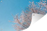 Tuinposter - Tuindoek - Tuinposters buiten - Kersenboom - Japan - Bloesem - 120x80 cm - Tuin