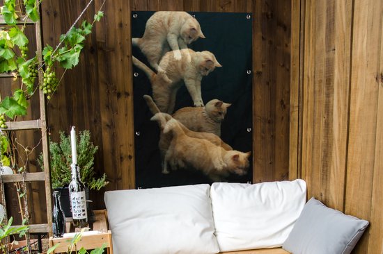 Poster jardin chat bondissant toile en vrac 80x120 cm - Toile de jardin / Toile d'extérieur / Peintures pour l'extérieur (décoration de jardin)