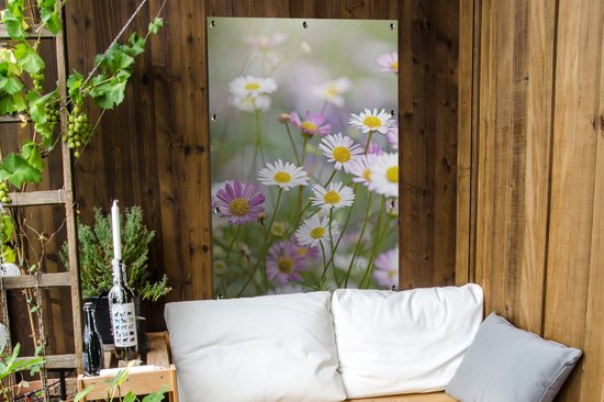 Gros plan de marguerites 80x120 cm