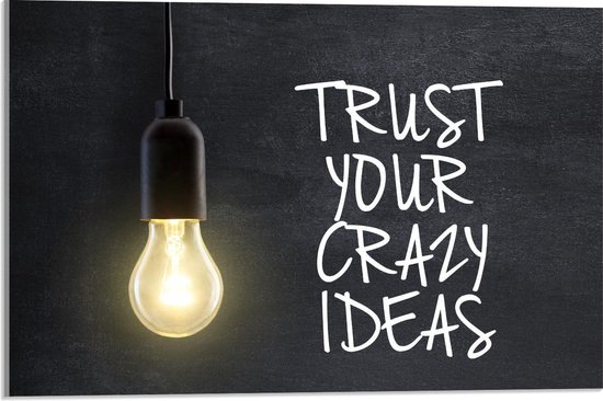 Acrylglas - ''Trust Your Crazy Ideas''  - 60x40cm Foto op Acrylglas (Met Ophangsysteem)
