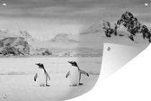 Tuindecoratie Pinguïn - Sneeuw - zwart wit - 60x40 cm - Tuinposter - Tuindoek - Buitenposter