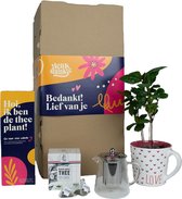 Leukdankje.nl Bedankt Cadeautje Theeplant Theepot DIY