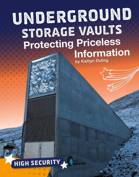High Security Underground Storage Vaults (ebook), Kaitlyn Duling