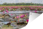 Muurdecoratie Roze waterlelies in een vijver - 180x120 cm - Tuinposter - Tuindoek - Buitenposter