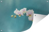 Affiche de jardin Les orchidées blanches sur fond bleu 120x80 cm - Toile de jardin / Toile d'extérieur / Peintures d'extérieur (décoration de jardin)