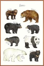 JUNIQE - Poster met kunststof lijst Beren illustratie -13x18 /Bruin &
