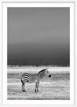 Poster Met Witte Lijst - Wilde Zebra Poster