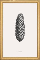JUNIQE - Poster met houten lijst Pine Cone III -40x60 /Grijs & Ivoor