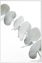 JUNIQE - Poster in kunststof lijst Eucalyptus White 3 -20x30 /Groen &