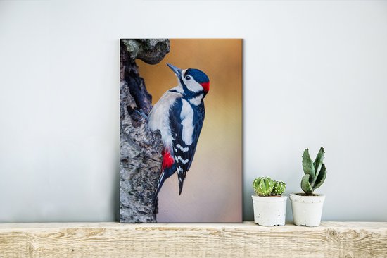 Gros plan d'un pic épeiche sur un tronc d'arbre 20x30 cm - petit - Tirage photo sur toile (Décoration murale salon / chambre)