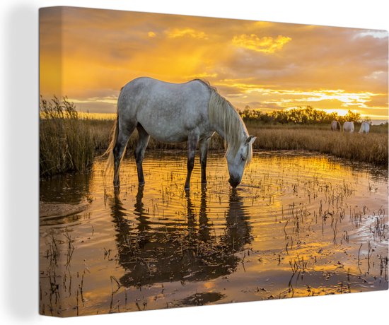 Canvas Schilderij Paard drinkt terwijl de zon ondergaat in Camargue - 90x60 cm - Wanddecoratie