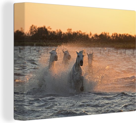 Paarden galopant dans les eaux profondes en Camargue toile 2cm 40x30 cm - petit - Tirage photo sur toile (Décoration murale salon / chambre)