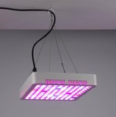 Wetelux 80 W plantenlamp LED lamp vierkant