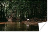 Reiger in mangrovebos poster papier 60x40 cm - Foto print op Poster (wanddecoratie woonkamer / slaapkamer) / Wilde dieren Poster