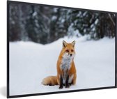 Cadre photo renard roux noir sans passe partout