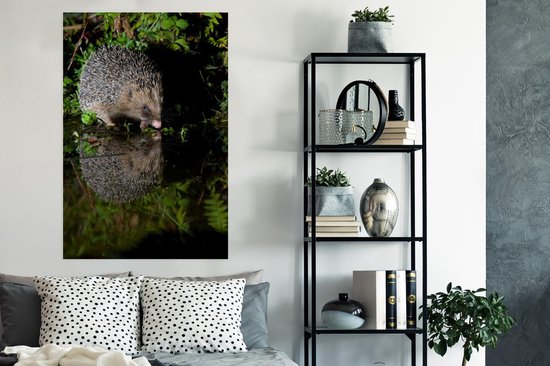 Hérisson boit de l'eau poster papier 80x120 cm - Tirage photo sur Poster (décoration murale salon / chambre) / Poster animaux sauvages