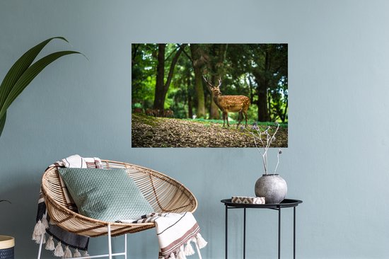 Sticker Muursticker Animaux Libres - Cerf au premier plan - 60x40 cm - film adhésif autocollant - sticker mural repositionnable