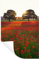 Muurstickers - Sticker Folie - Klaprozen - Bloemenveld - Zon - 20x30 cm - Plakfolie - Muurstickers Kinderkamer - Zelfklevend Behang - Zelfklevend behangpapier - Stickerfolie