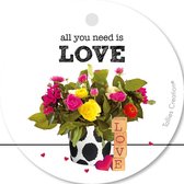 Tallies Cards - kadokaartjes  - bloemenkaartjes - All you need is LOVE - Plant - set van 5 kaarten - valentijnskaart - valentijn  - moeder - mama - liefde - 100% Duurzaam
