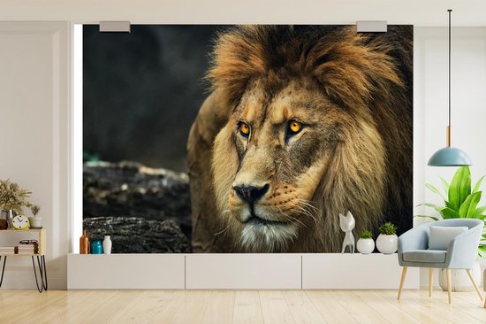Papier peint - Papier peint photo Lion - Portrait - Sauvage - Largeur 420 cm x hauteur 280 cm