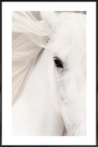 JUNIQE - Poster in kunststof lijst White Horse -40x60 /Grijs & Wit