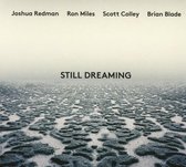 Still Dreaming (Feat. Ron Miles & Scott Colley & Brian Blade)