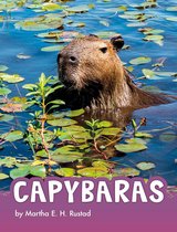 Animals - Capybaras