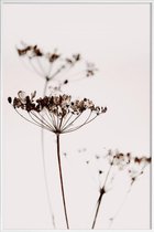 JUNIQE - Poster in kunststof lijst Dried Flowers Anetum 2A -20x30